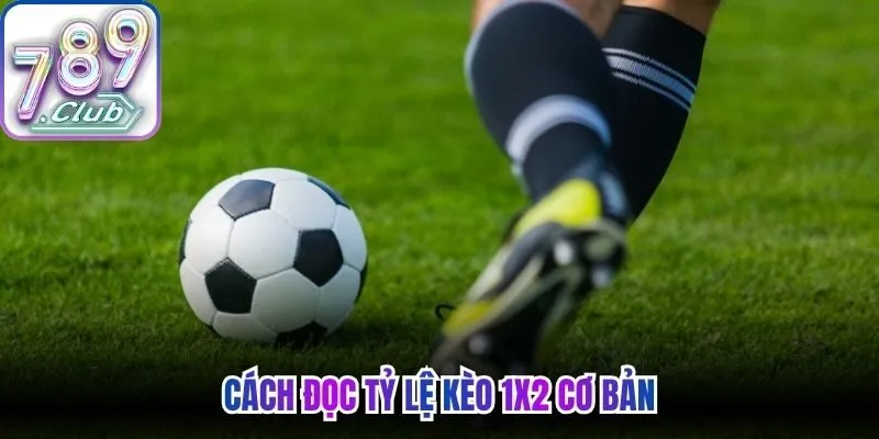 Cách đọc tỷ lệ kèo 1x2 cơ bản