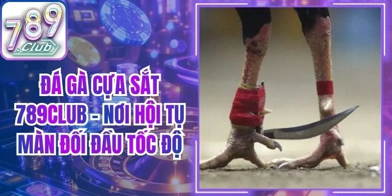Đá Gà Cựa Sắt 789Club - Nơi Hội Tụ Màn Đối Đầu Tốc Độ