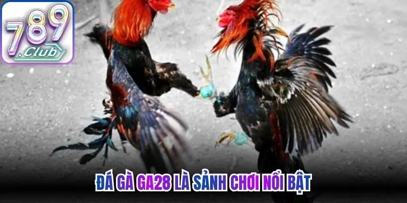 Đá gà GA28 là sảnh chơi nổi bật