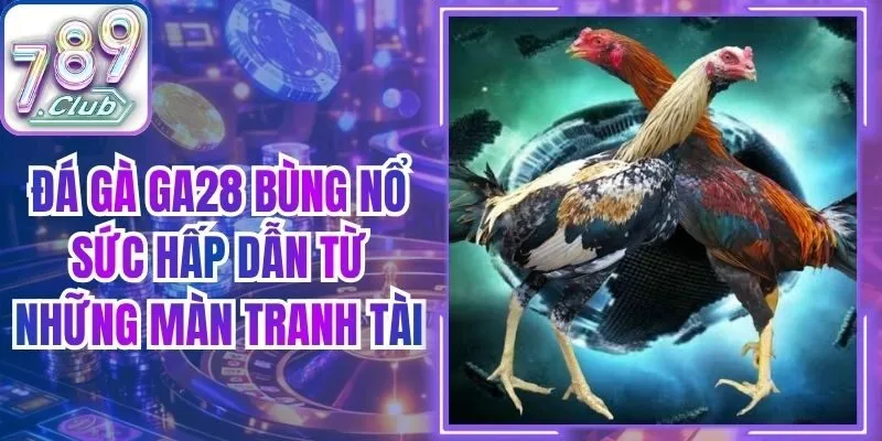 Đá Gà GA28 Bùng Nổ Sức Hấp Dẫn Từ Những Màn Tranh Tài