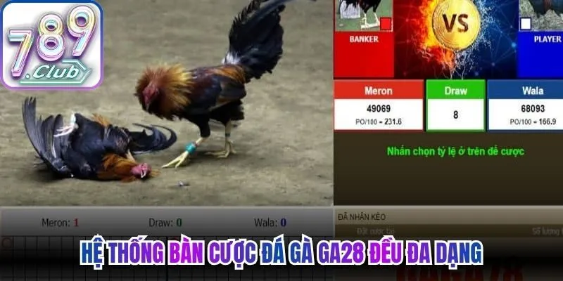 Hệ thống bàn cược đá gà GA28 đều đa dạng