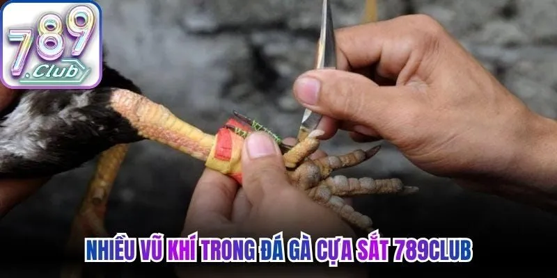 Nhiều vũ khí trong đá gà cựa sắt 789Club