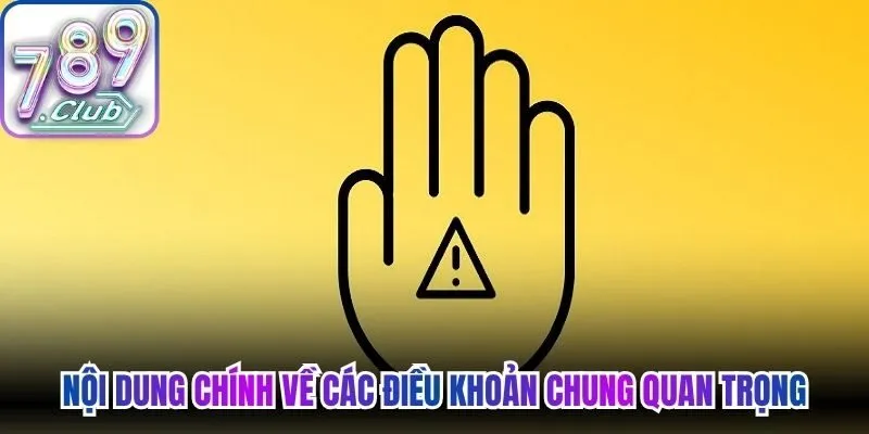 Nội dung chính về các điều khoản chung quan trọng