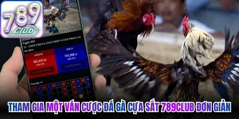 Tham gia một ván cược đá gà cựa sắt 789Club đơn giản